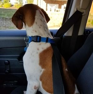 Meet your Posher, Connie